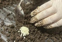 Bulgaristan’dan 1000 adet getirip işe başladı, şimdi kilosunu 148 bin TL’ye satıyor: Orta Doğu’dan sipariş yağıyor