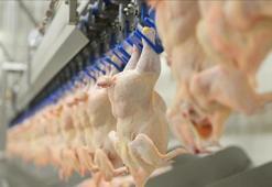 BESD-BİR, tavuk eti zehirlenmelerine karşı uyardı