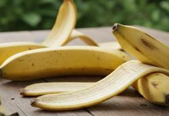 Muz kabuğu gübresi altın kadar değerli! Dökenler pişman oluyor: Kış ayında bile bitkilere çiçek açtırıyor