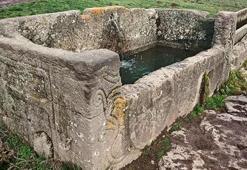 29 doğasever dinlenmek için mola verdi, çeşmede gördükleri karşısında şoke oldu!