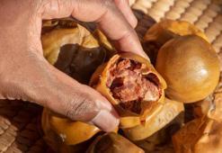 Halk arasında ‘hileci’ diye biliniyor! Kilosu 150 TL’ye çıktı: Kışın gizli vitamin bombası