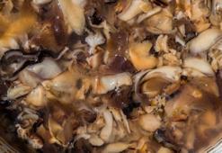 Evini mini üretim yerine çevirdi: Doğada gördü şimdi kavak mantarıyla kazancını katladı!