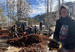 Dikenlerinden çıkartıp pazarda kilo kilo satılıyor! 'Herkesin bu lezzeti tatmasını isteriz'