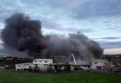 Tuzla’da kauçuk fabrikasında korkutan yangın! Yoğun duman havadan görüntülendi