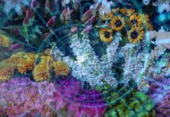 Burcunuza göre bir çiçek olsaydınız hangisi olurdunuz? Papatya, gül, nergis, şakayık...