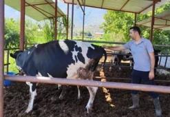Muğla'nın Milas ilçesinde 11 mahalle karantinaya alındı