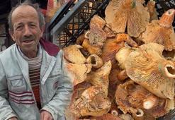 Yağmur yağdı, fiyatı 300 TL'den 100 TL'ye düştü! Halk arasında 'melki' adıyla da biliniyor: B12 ve protein deposu