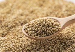Pekmezin tahtını sallayan kahvaltılık: Omega-3 deposu o besin çok konuşuluyor