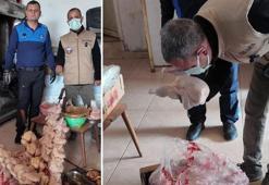 Zabıta ekipleri bile dayanamadı! Dönerci mühürlendi: Leş kokusu var