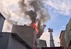İstanbul'da bir binayı alevler sardı! Bölgeye ekipler sevk edildi
