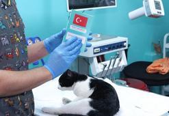 Evcil hayvan sahipleri dikkat! Son gün 31 Aralık