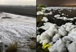 Dicle Nehri’nde 'köpük' alarmı: İnceleme başlatıldı