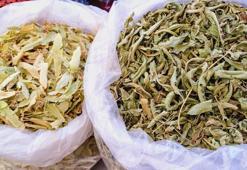 Kış çayının da bir sınırı var: Uzmanı uyardı 'Böbreklere zarar verebilir'