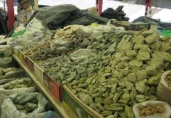 Ne çekirdek ne fıstık... Toprak yiyorlar! Vitamin deposu 'gulboto' gerçeği