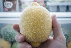 Limonu bütün olarak buzluğa atın! Etkilerine inanamayacaksınız, lezzeti zirveye taşıyor!