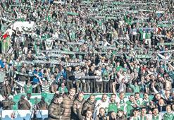 Bursaspor küllerinden doğuyor