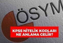 KPSS 3001, 6225, 7322, 7324, 7348 nitelik kodu nedir? ÖSYM KPSS nitelik kodu ne anlama gelir, ne işe yarar?