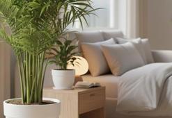 Her evde var ama çok zararlı! Böceklerin artmasına neden oluyor