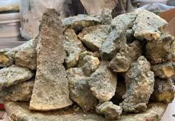 Peynir neden küflenir? İşte peynirin küflenmemesi için tüyolar