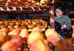 Köyde her şeyi bırakıp bu işe yöneldiler: Türkiye’nin dört bir yanından sipariş yağıyor