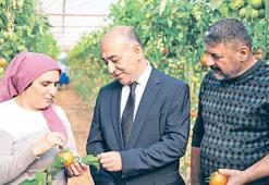 Gıdaya 30 dakikada pestisit analizi