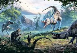 2025'in bilimsel karnesi