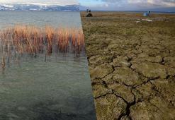 Sapanca Gölü alarm veriyor! Küresel su krizi kapıda