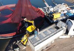 Denizi olmayan şehirde yetiştirildi! Bozkırın ortasından Rusya ve Japonya'ya uzanan yolculuk: Kilo kilo satılıyor