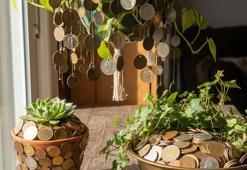 Saksılara bozuk para asın! Hem bolluk ve bereketi mıknatıs gibi çekiyor hem de bitkileri zararlılardan koruyor!