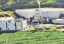 Yeşil dönüşümde 916.5 milyon liralık halka arz