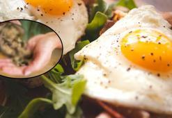 Protein içeriği yumurtayı solluyor! Kaşık kaşık yiyince kemikleri ve kasları güçlendiren 5 besin