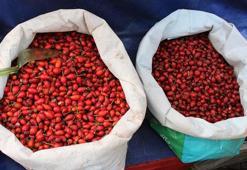 Portakaldan 7 kat faydalı doğal kan şekeri ilacı! Mideyi rahatlatıyor