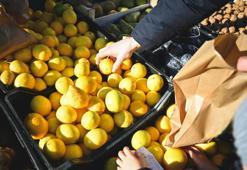 Profesyonel aşçıların gizli yöntemi: Limondan maksimum su almanın sırrı belli oldu