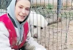 Yeni yılda patili dostları unutmayalım