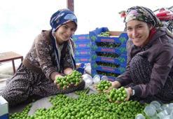 Tanesi 100 liradan satılıyor: Tadına bakmak bile lüks! Kış ortasında pazarın en değerlisi oldu