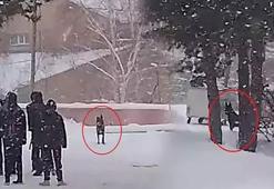 Okul bahçesinde korku dolu anlar! Kurt köpeği öğrencilere saldırdı: 3 yaralı