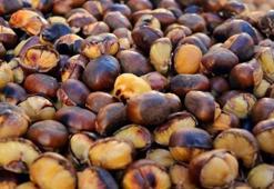 40 yıllık kestaneciden kestane tarifi! Yılbaşı kestanesi nasıl pişirilir?