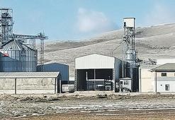 TMO deposunda 500 milyonluk vurgun