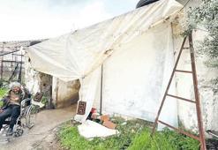 Muşambanın altında sefalet