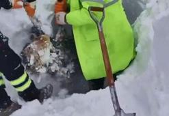 Artvin’de çığ felaketi! 2 kişiyi arama çalışmaları sürüyor