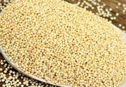 Kıymeti bilinmeyen kadim tohum! Diz ağrılarını bıçak gibi kesiyor