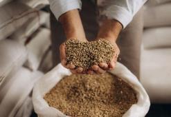 Dünyanın en sağlıklı karbonhidratı! Yıllardır yemeyin dediler, gerçek başkaymış