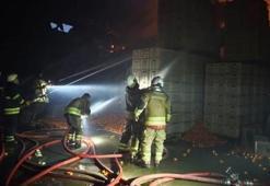 Narenciye paketleme tesisinde yangın: 60 işçi tahliye edildi, 1 kişi hayatını kaybetti