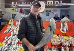 Balıkta yokluk senesi! Kilosu 250 TL’den başlıyor