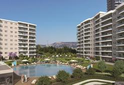 Narova’da sıra 7. etapta