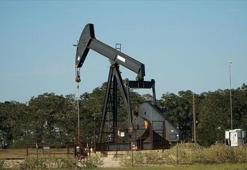 ABD: Venezuela petrolünü biz satacağız ve gelirleri kontrol edeceğiz