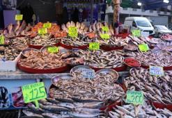 Hamsinin tahtı sallandı: Alanın bir daha sorduğu o gizli lezzet ortaya çıktı!