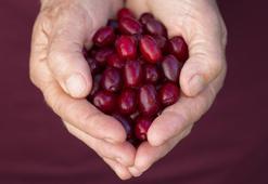 Karaciğer yağlanmasını azaltıyor! Osmanlı'dan miras kalan lezzet