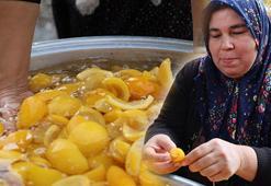 Dalında 5 TL'den çürüyor, kadınların kaynattığı kazanda kilosu 300 TL'ye çıkıyor! Şeker ve tansiyon hastalarına iyi geliyor