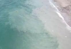 İstanbul’da kötü koku alarmı: Denizdeki renk değişimi havadan görüntülendi